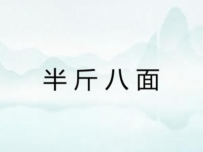 半斤八面 半斤八面