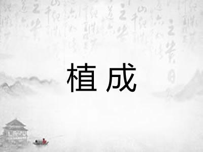 植成 植成