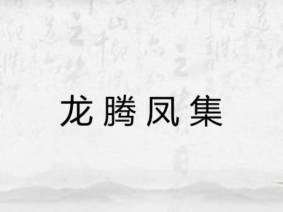 龙腾凤集
