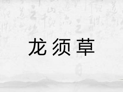 龙须草 龙须草