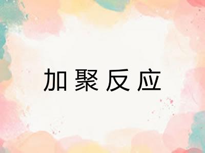 加聚反应 加聚反应