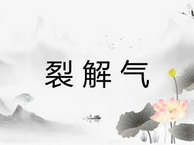 裂解气 裂解气
