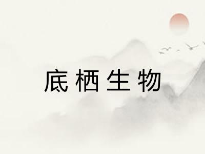 底栖生物 底栖生物