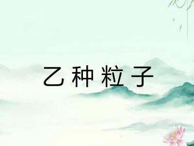 乙种粒子 乙种粒子