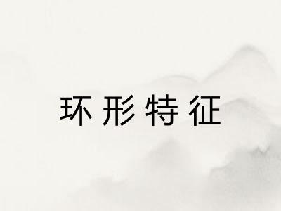 环形特征 环形特征