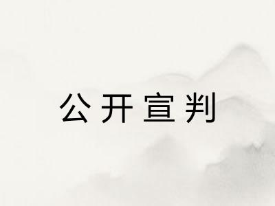 公开宣判 公开宣判