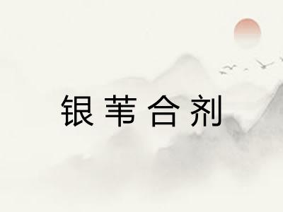 银苇合剂 银苇合剂