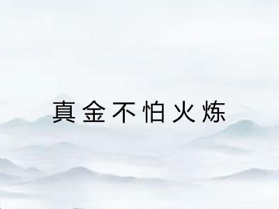 真金不怕火炼 真金不怕火炼