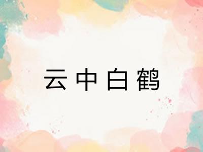 云中白鹤 云中白鹤