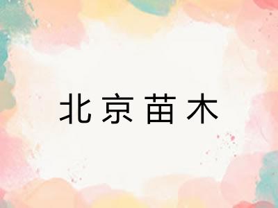 北京苗木