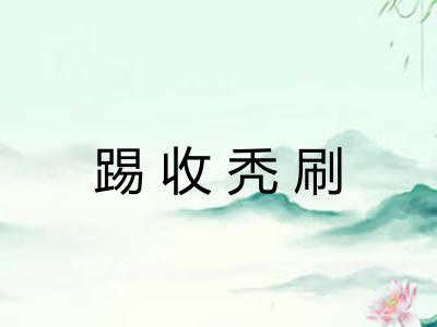 踢收秃刷 踢收秃刷