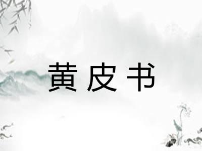 黄皮书 黄皮书