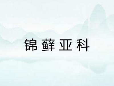 锦藓亚科 锦藓亚科