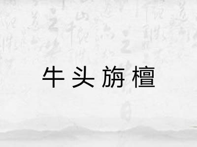 牛头旃檀 牛头旃檀