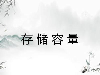 存储容量 存储容量
