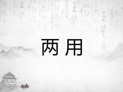 两用 两用