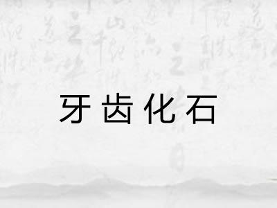 牙齿化石 牙齿化石