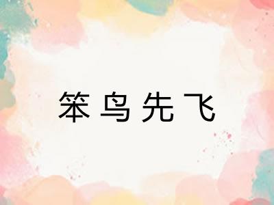 笨鸟先飞 笨鸟先飞