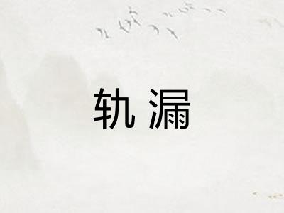 轨漏 轨漏