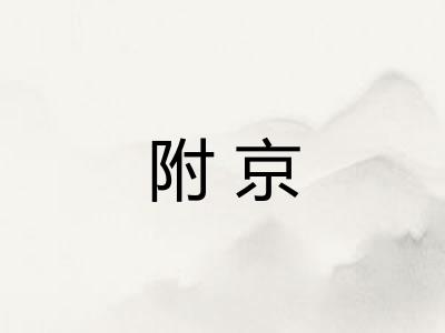 附京 附京