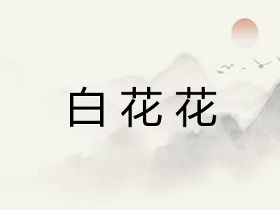 白花花 白花花