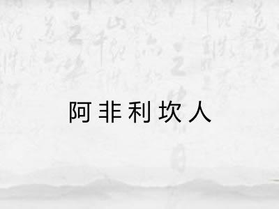 阿非利坎人 阿非利坎人