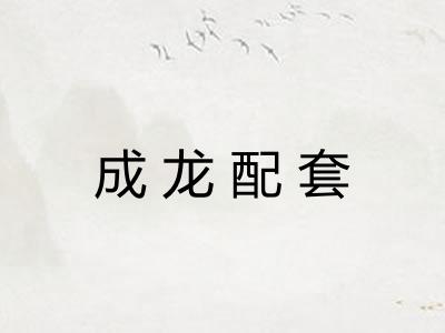 成龙配套