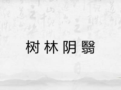 树林阴翳 树林阴翳
