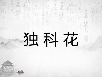 独科花 独科花