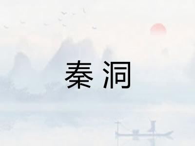 秦洞