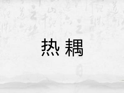 热耦 热耦