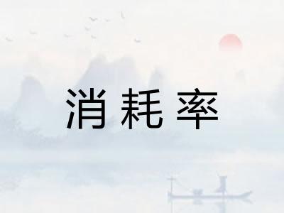 消耗率 消耗率