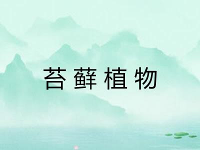 苔藓植物
