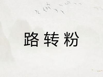 路转粉 路转粉