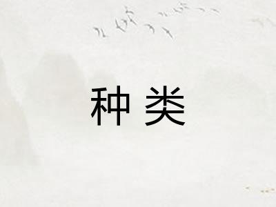 种类 种类