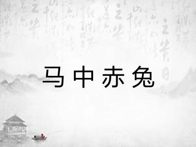 马中赤兔 马中赤兔