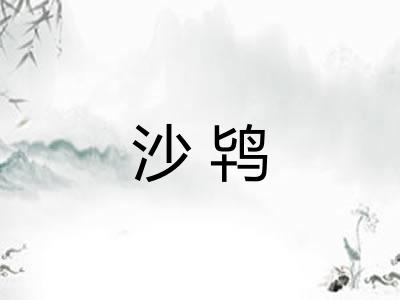沙鸨 沙鸨