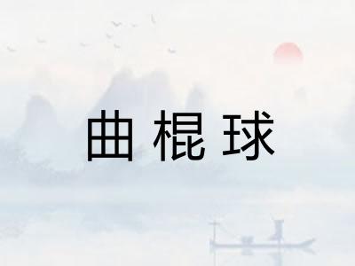 曲棍球 曲棍球