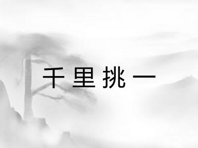 千里挑一 千里挑一