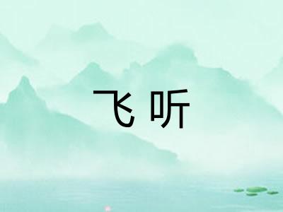 飞听 飞听