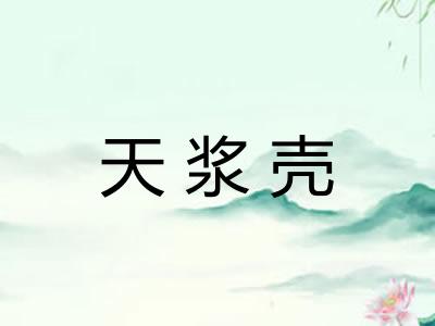 天浆壳 天浆壳