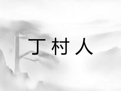 丁村人 丁村人