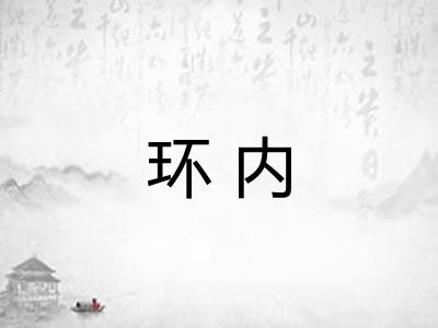 环内 环内