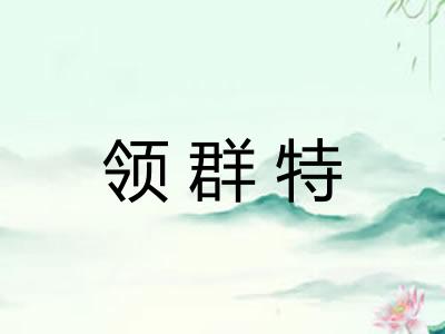 领群特