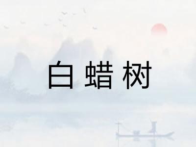白蜡树