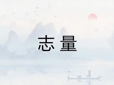 志量