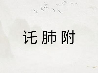 讬肺附 讬肺附