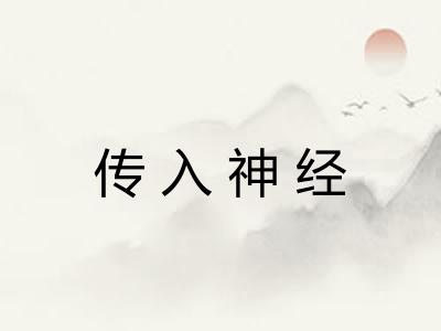 传入神经 传入神经