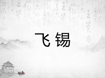 飞锡 飞锡