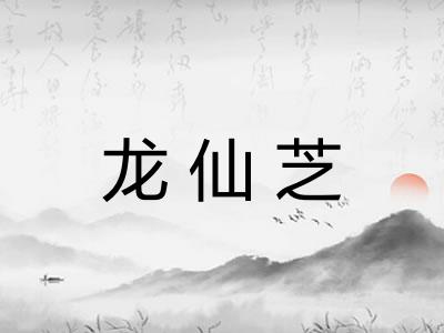 龙仙芝